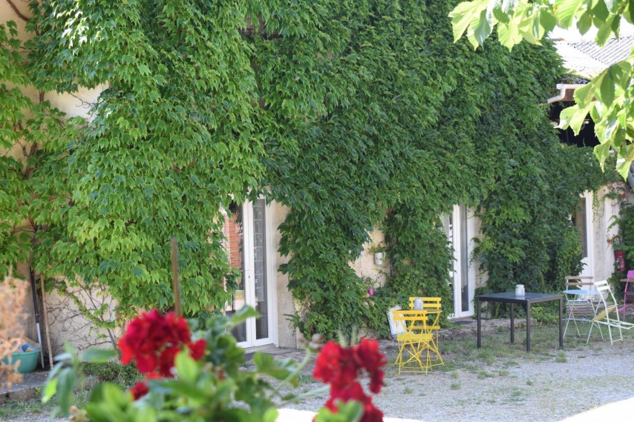 Chambres d'hôtes- Le Pré aux Ânes Albon Exterior foto